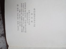 在毛主席身边的日子里