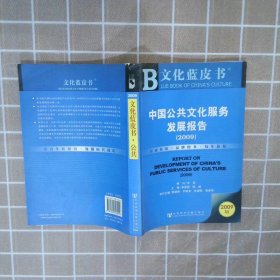 中国公共文化服务发展报告（2009）