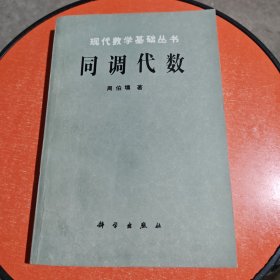 现代数学基础丛书：同调代数