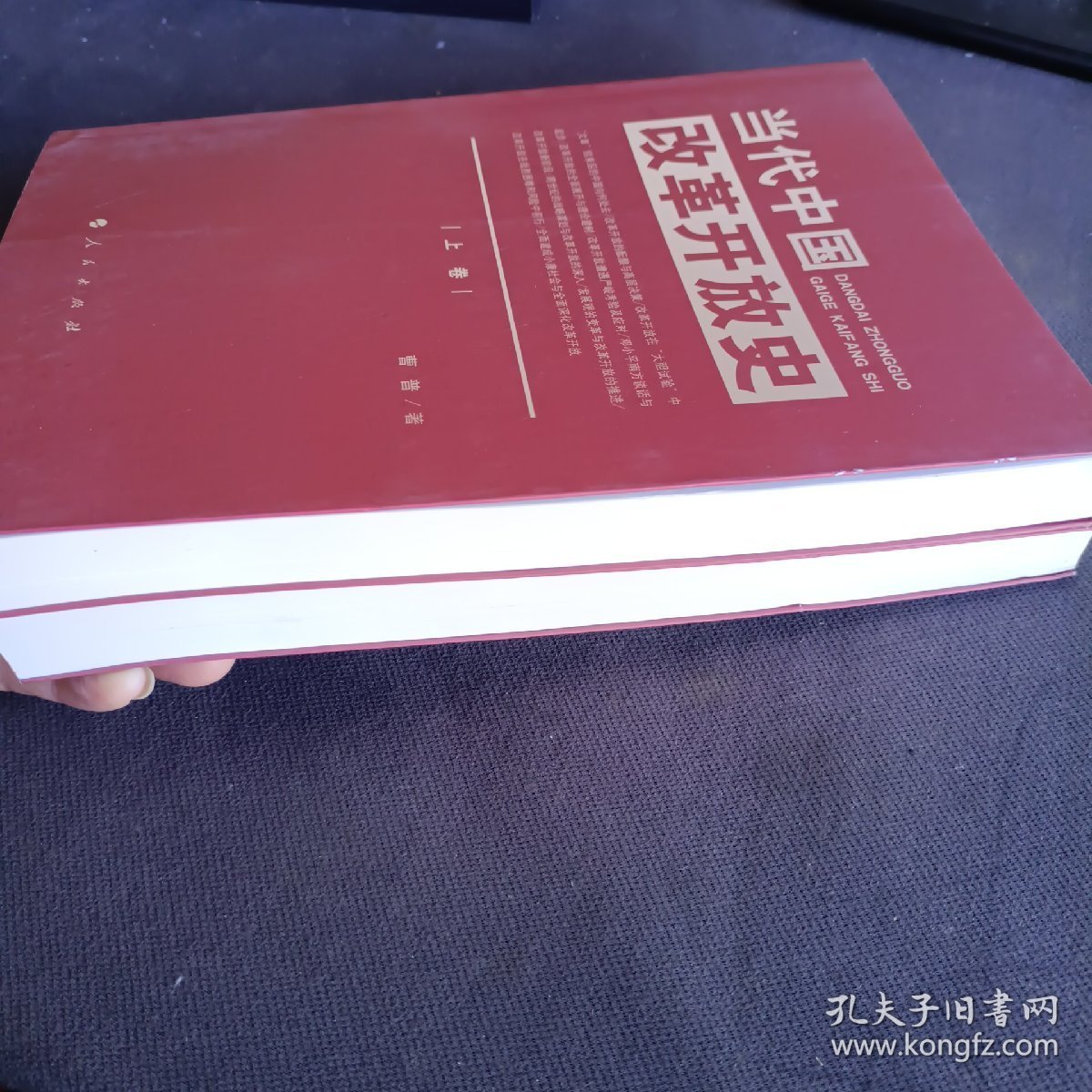 当代中国改革开放史（上下卷 全二卷 2本合售）