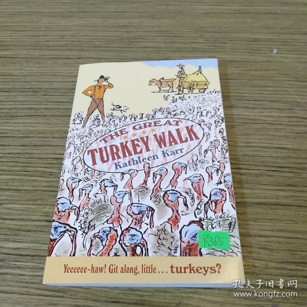 The Great Turkey Walk