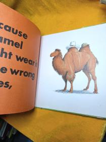 Animals Should Definitely Not Wear Clothing 动物绝对不该穿衣服