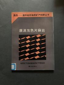 西昌--滇中地区地质矿产科研丛书：康滇灰色片麻岩