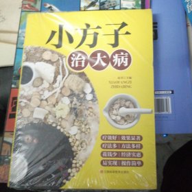 小方子治大病 中医书籍养生偏方大全民间老偏方美容养颜常见病防治 保健食疗偏方秘方大全小偏方老偏方中医健康养生保健疗法