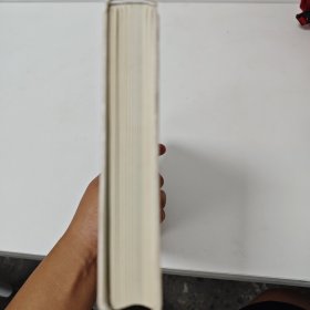 爆裂：未来社会的9大生存原则