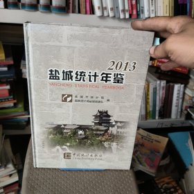 盐城统计年鉴. 2013