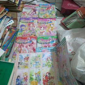 小花仙6本，另＋2张插画