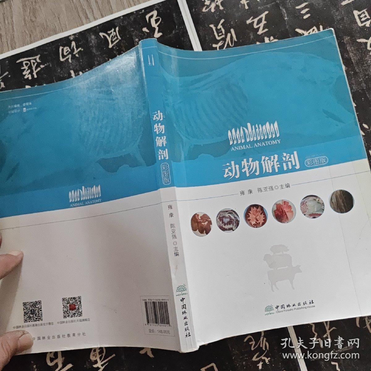 动物解剖（彩图版）