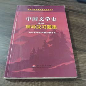 中国文学史（第二版）辅导及习题集