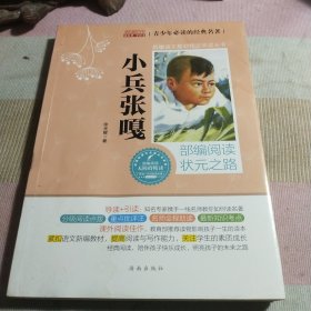 小兵张嘎