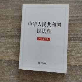 中华人民共和国民法典（大字条旨版）2020年6月