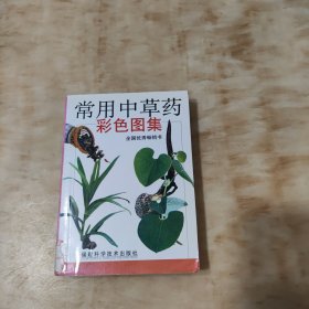 常用中草药彩色图集