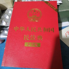 中华人民共和国民法典，（大字版）