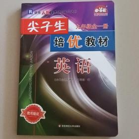 英语《尖子生培优教材》九年级全一册