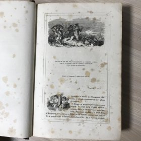 1842年出版的老版本法文原版书：圣赫勒拿纪念馆、流亡中的拿破仑、拿破仑的最后时刻、以及拿破仑皇帝遗骸被转移到荣军院的历史（16开精装 两册全）品相见描述