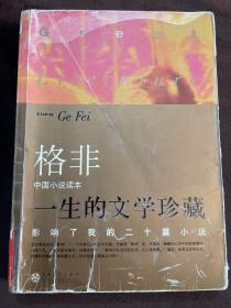 影响了我的二十篇小说（格非中国小说读本）——一生的文学珍藏