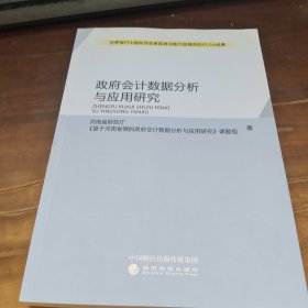 政府会计数据分析与应用研究