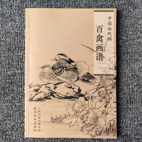 中国画线描百禽画谱天津杨柳青美术国画白描基础禽鸟画谱