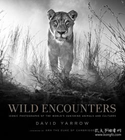 Wild Encounters David Yarrow，正在消失的野生动物