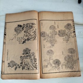 民国石印大开本《芥子园画傳二集》梅谱第三册卷五六七八（完整一册）25.5*15.2