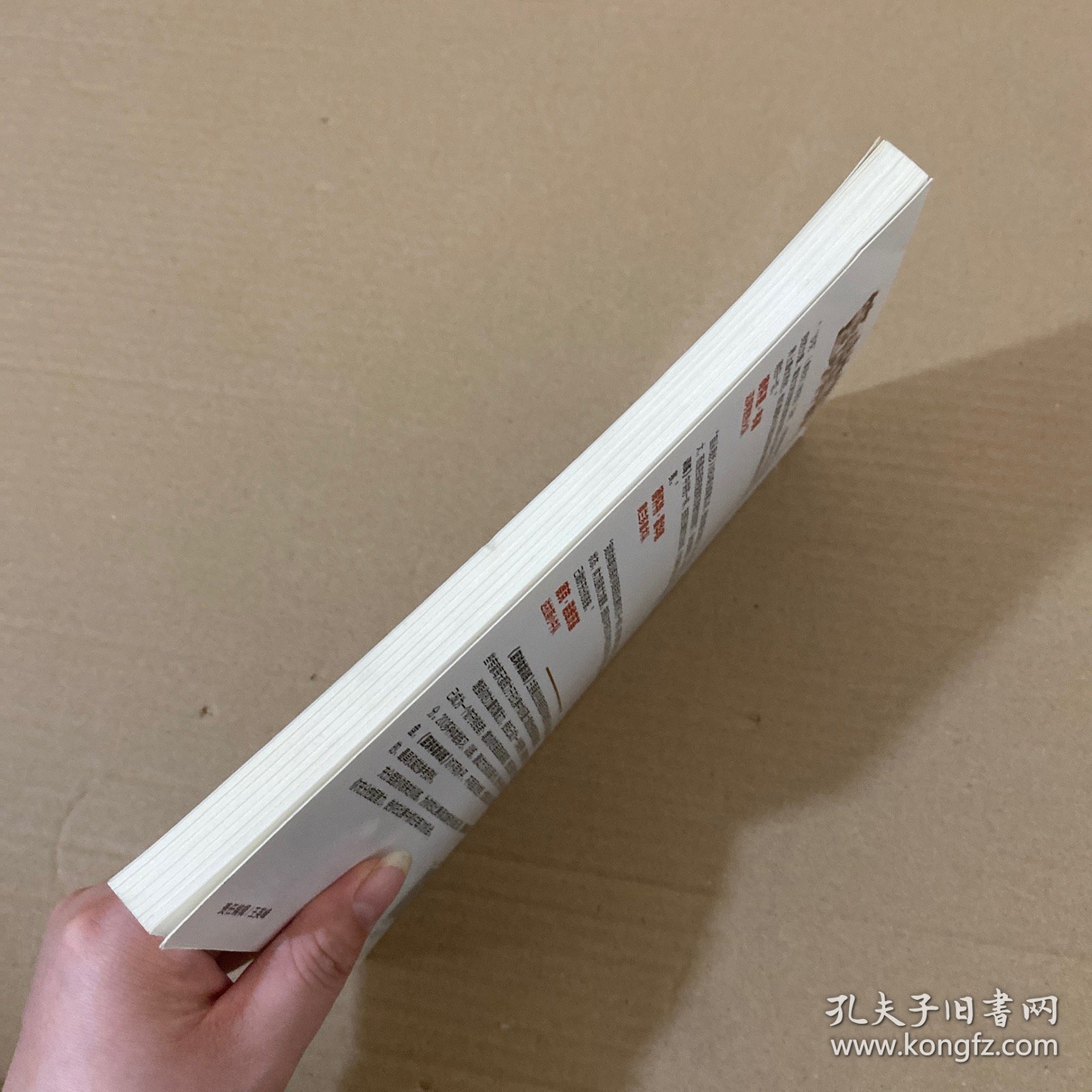 篮球体能训练 【无光盘】