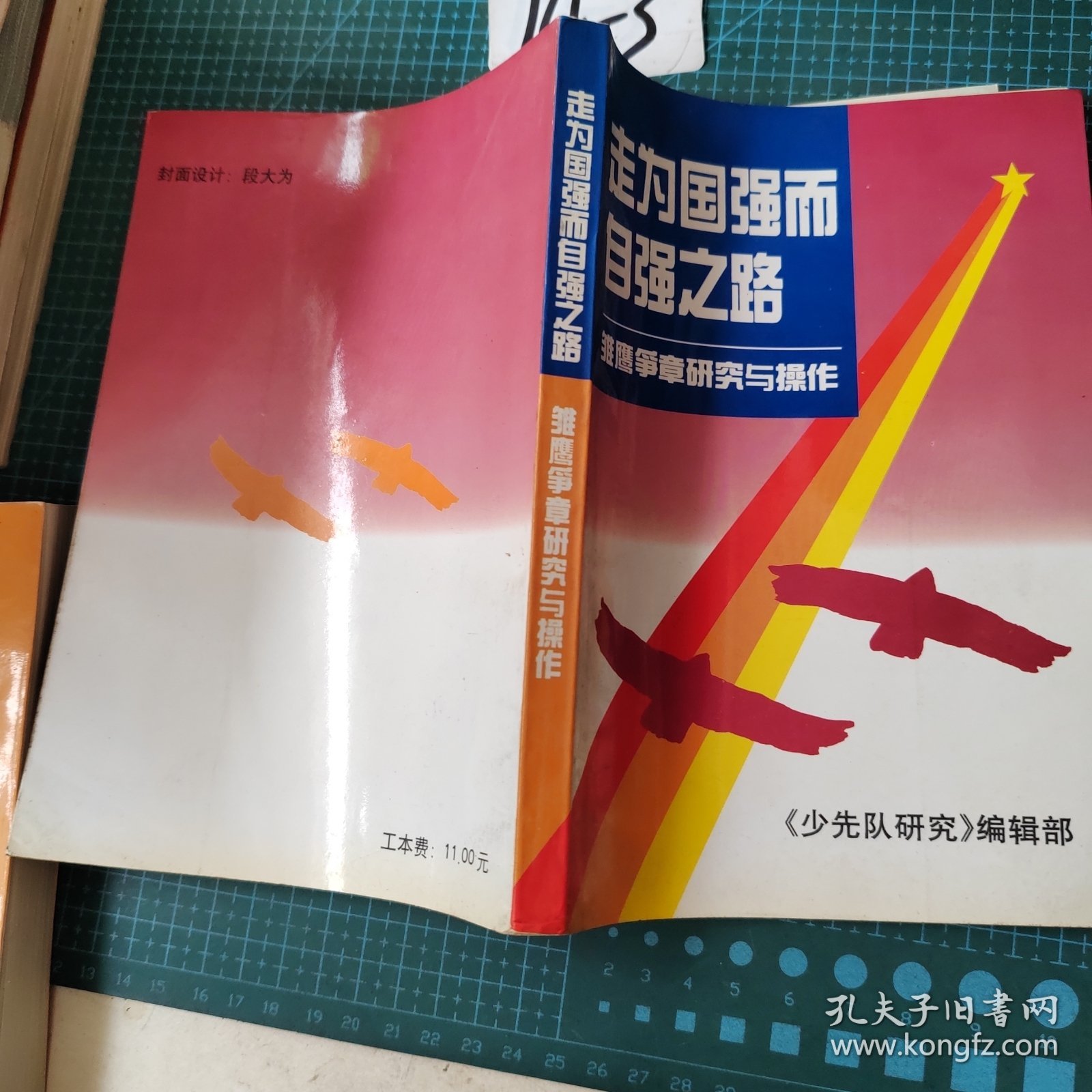 国强而自强之路--雏鹰争章研究与操作