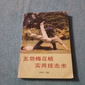 五势梅花桩实用技击术