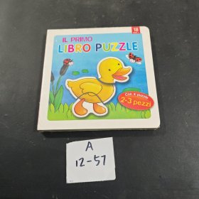 LIBRO PUZZLE con 4puzzle 2-3pezzi