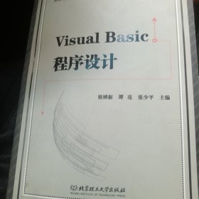 VisualBasic程序设计