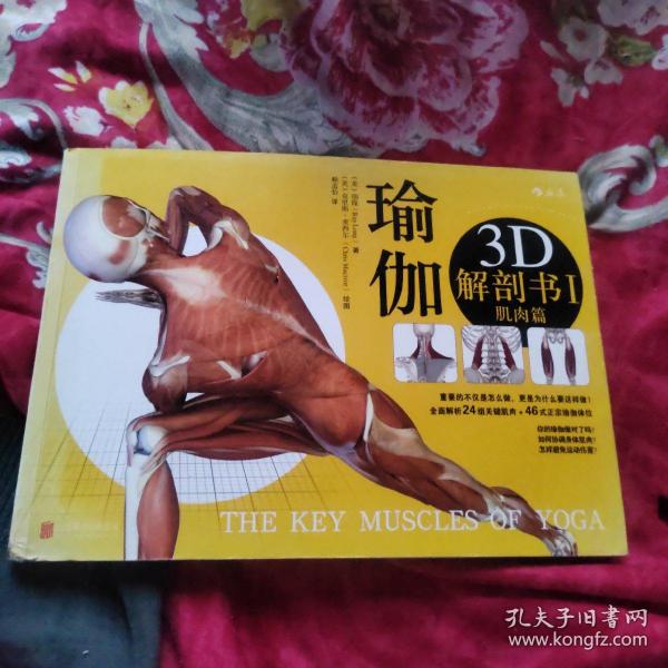 瑜伽3D解剖书I：肌肉篇