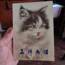 怎么画猫