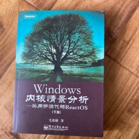 Windows内核情景分析：采用开源代码ReactOS(下册)