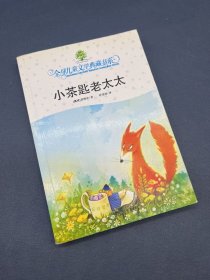 小茶匙老太太：全球儿童文学典藏书系