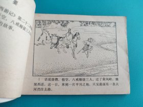 流沙河（河北绿皮西游记之十）