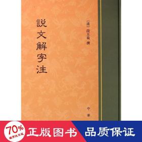 说文解字注 中国古典小说、诗词 作者