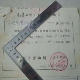 集体所有制固定工人录用通知书（锦州）1981，带照片，保真包老