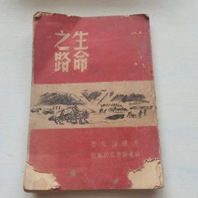 生命之路