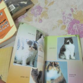 养猫驯猫与猫病防治