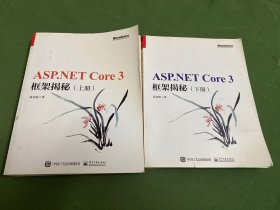 ASP.NET Core 3 框架揭秘（上下册）