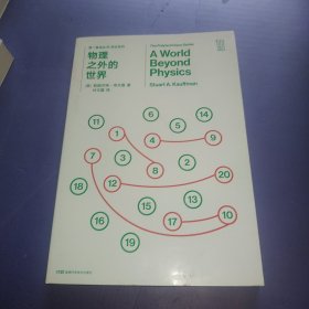 第一推动丛书综合系列:物理之外的世界