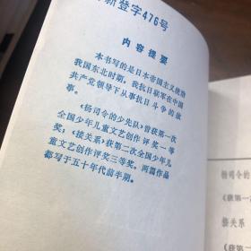 杨司令的少先队