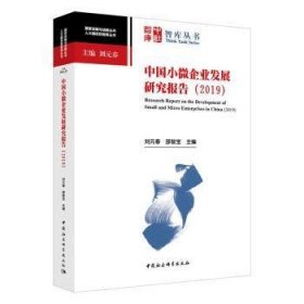 中国小微企业发展研究报告-（（2019））