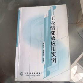 工业清洗及应用实例