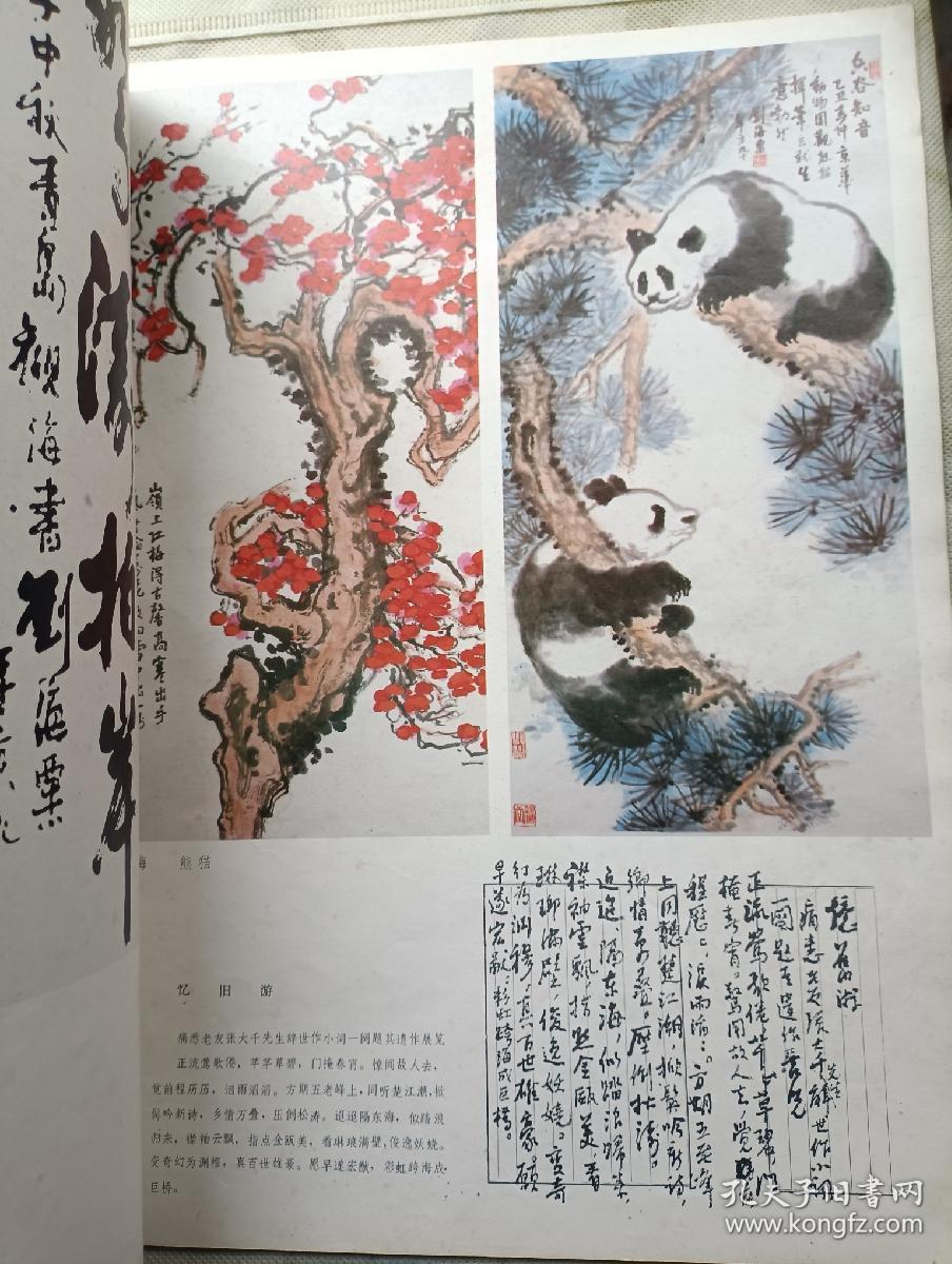 中国书画 19