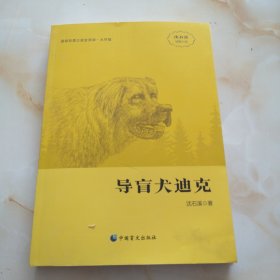 导盲犬迪克