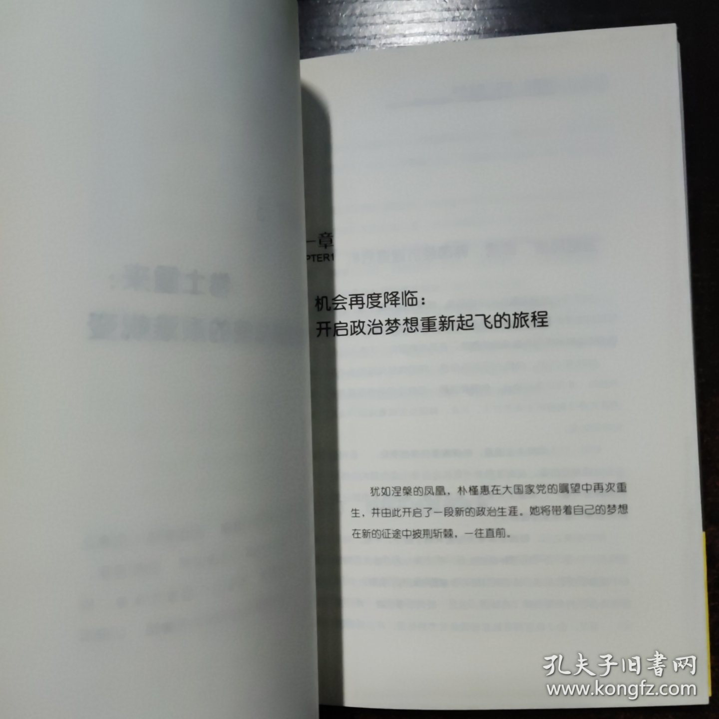 朴槿惠传：在绝望中寻找希望