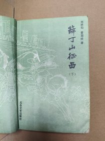 薛丁山征西