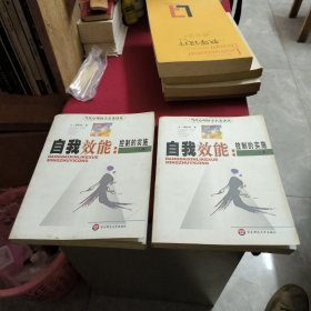 自我效能：控制的实施（上下）