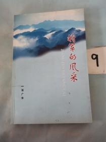 将军的风采。