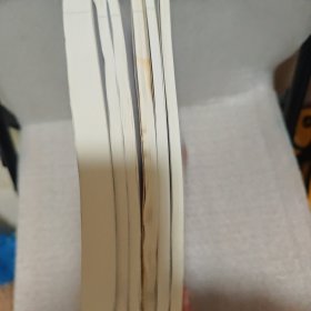 2024年审计案例(第4册、第6-12册)6册合售